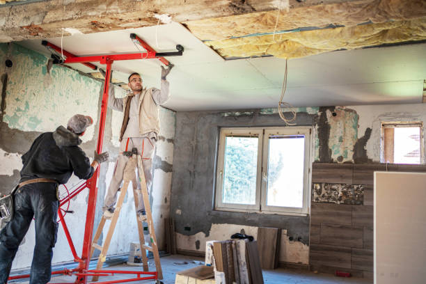 Best Insulation Installation Services in Water Valley, MS