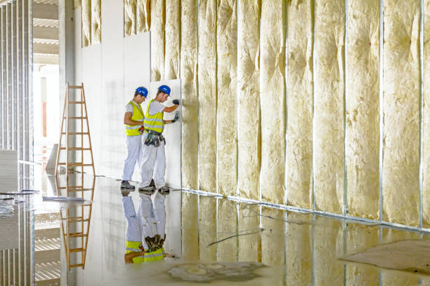 Best Insulation Installation Services in Water Valley, MS